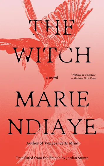 Cover of The Witch