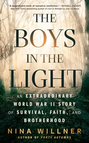Cover of The Boys in the Light by Nina Willner