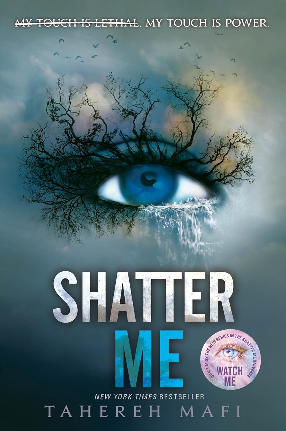 What did you think about Shatter Me?